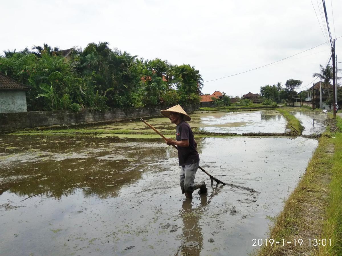 Bhuana Alit 2 Ubud Ngoại thất bức ảnh