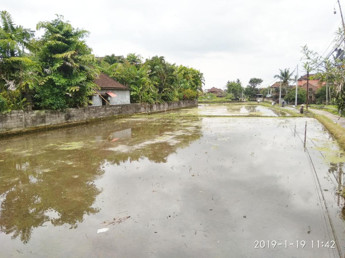 Bhuana Alit 2 Ubud Ngoại thất bức ảnh