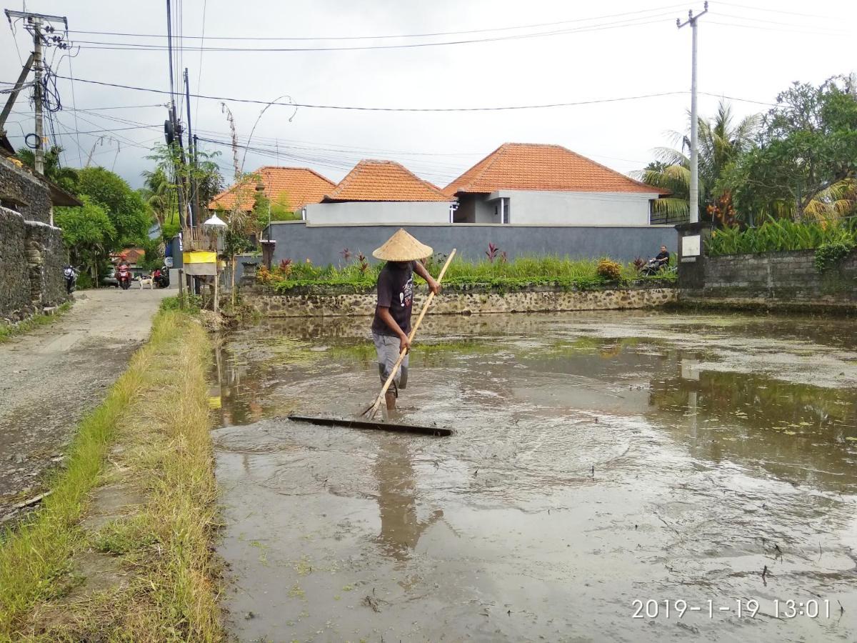 Bhuana Alit 2 Ubud Ngoại thất bức ảnh
