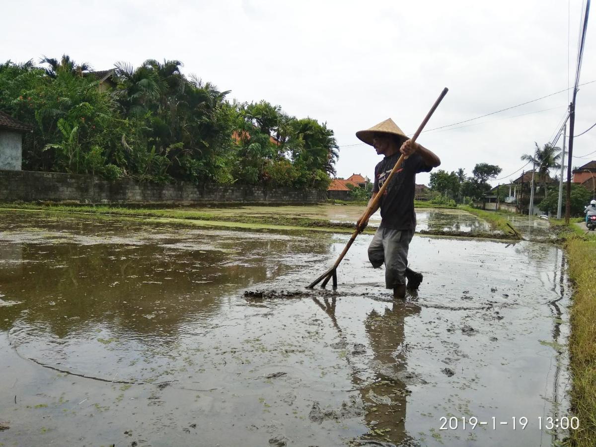 Bhuana Alit 2 Ubud Ngoại thất bức ảnh